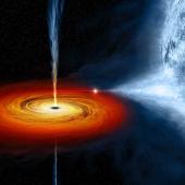 The black hole pulls material from a companion star towards it, forming a disc that rotates around the black hole before falling into it.
