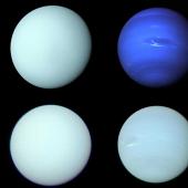 The top row shows images of Uranus, left, and Neptune, right, from Voyager 2 in 1986 and 1989; the bottom row shows a reprocessing of the individual filter images in the study to determine the best estimate of the planets' true colours.