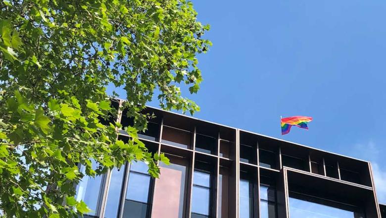 Pride flag flying above the Beecroft building