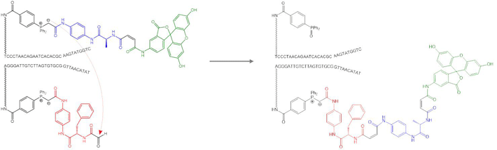 DNA-templated synthesis