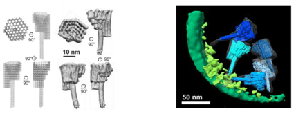 Nanostructure signposts