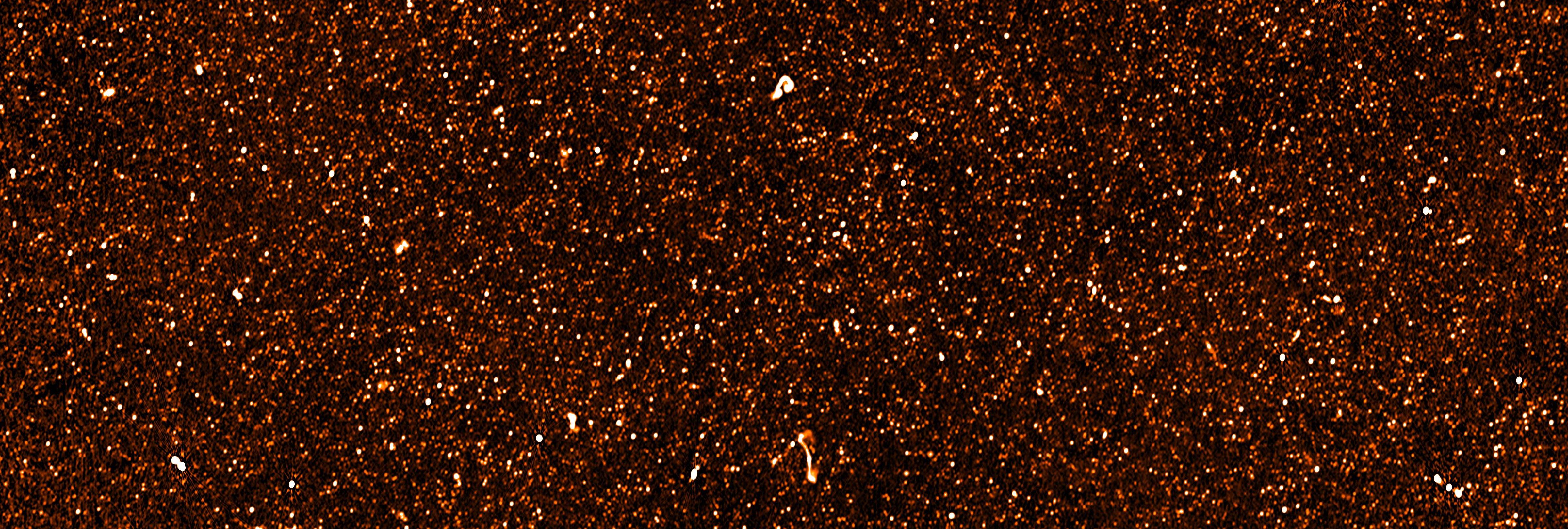 A subset of the MIGHTEE COSMOS mosaic showing many thousands of extragalactic radio sources.
