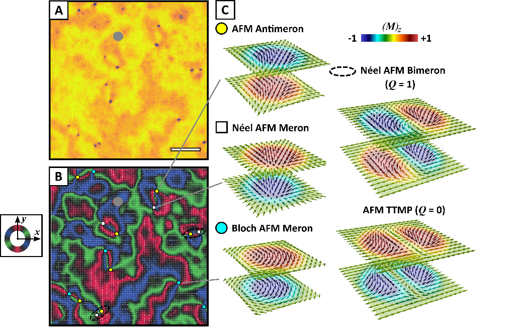 Fig.1 : (A-C) Spatial distribution of antiferromagnetic topological textures measured in 1nm Pt coated α-Fe2O3 thin films via polarized photo-emission electron microscopy (PEEM) which show that whirling in-plane vortices and antivortices (in B) entrap OOP cores at their respective centres (in A), proving that the textures we see are (C) topological merons and antimerons (|Q|=1/2), and their pairs form either bimerons (|Q|=1) or topologically trivial meron pairs, TTMPs (Q=0). 