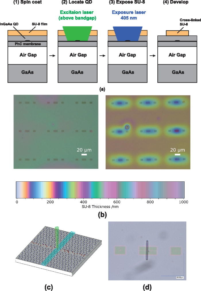 Images of photonic crystals patterned with SU8 cavities