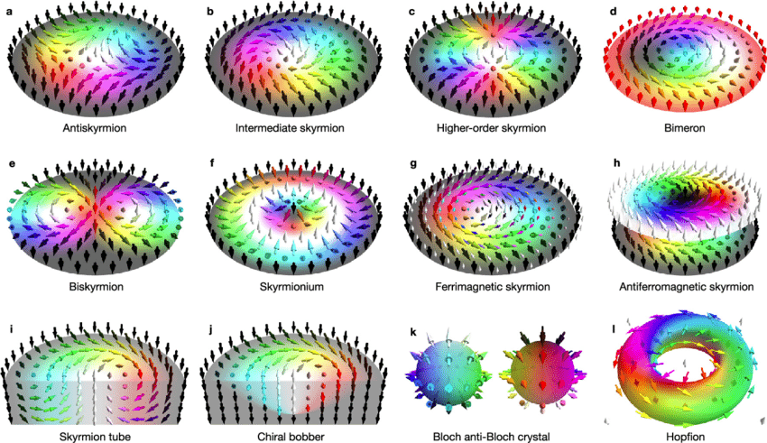 Overview of topolicxally non-trivial spin textures (Credit: Göbel et al., Phys. Reports 895, 1 (2021); CC BY 4.0).