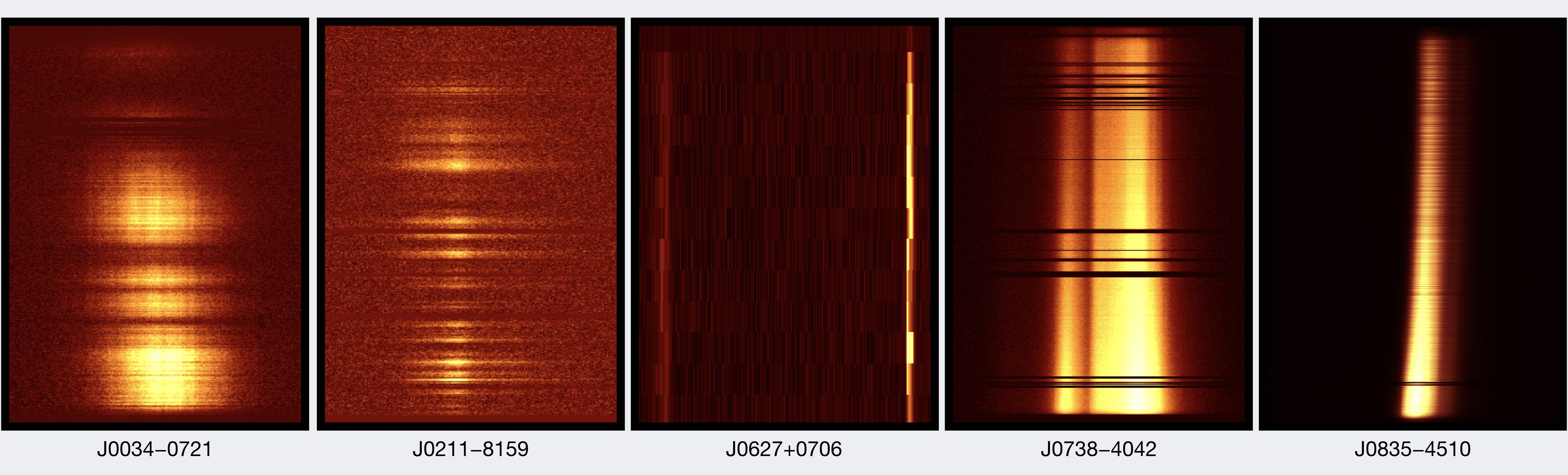 Pulse profiles for five pulsars from the Thousand Pulsar Array