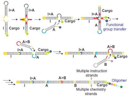 Autonomous, programmed synthesis