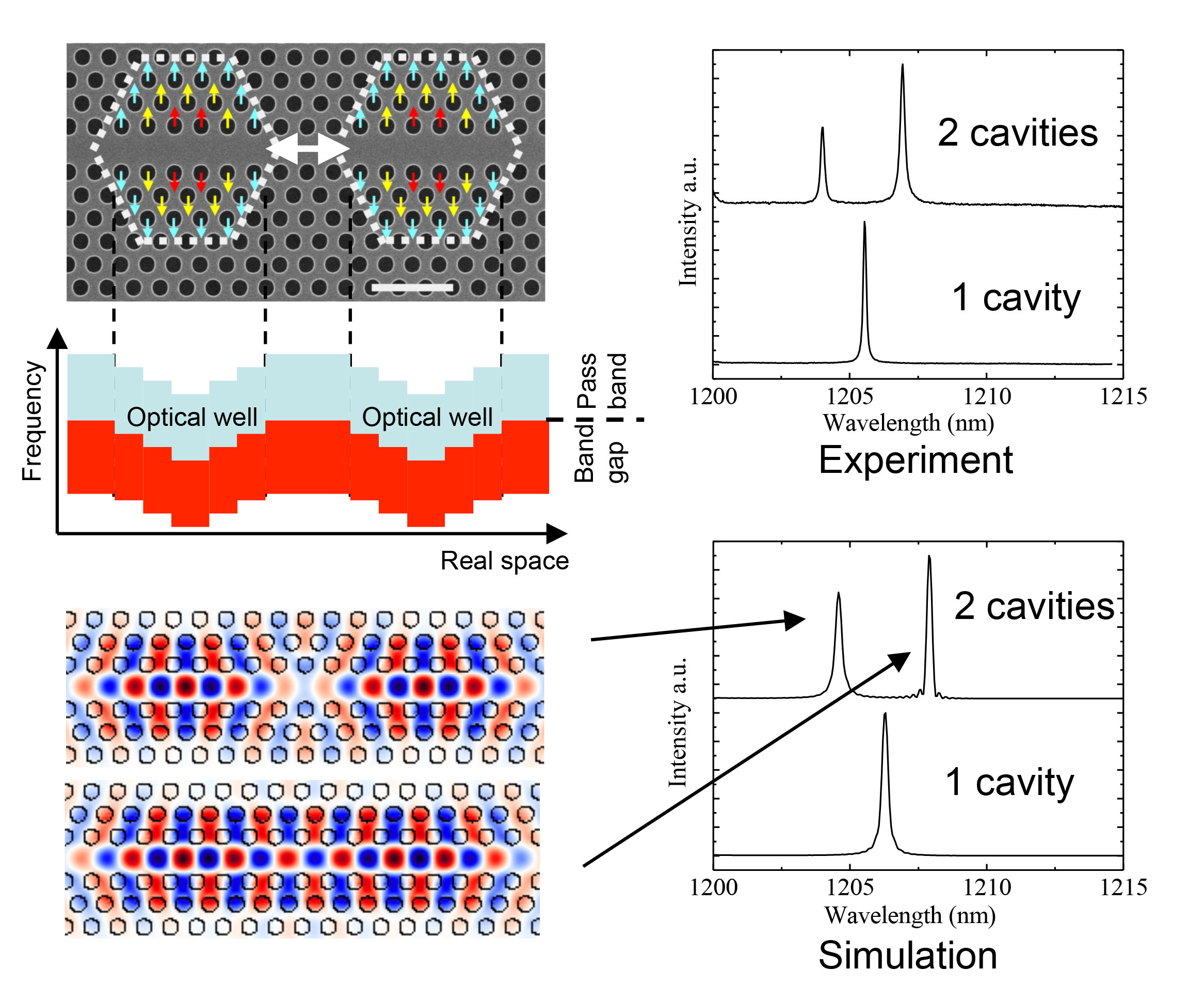 Coupled photonic crystal cavities