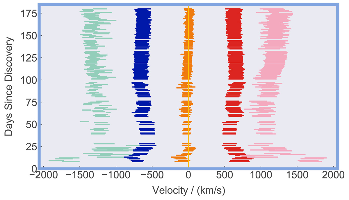 The dynamical components of a nova, in the weeks and months after detonation