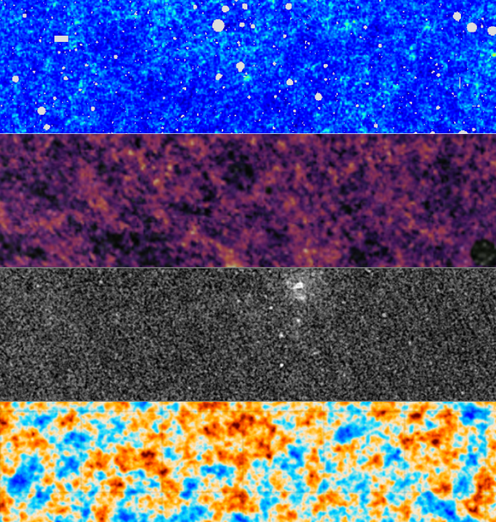 Multiple LSS tracers