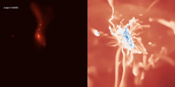 Stars and gas density snapshots from the New Horizon simulation