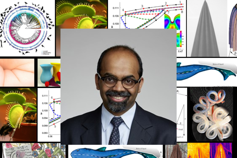 A portrait of Professor L Mahadevan surrounded from images from his research at Harvard University