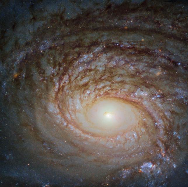 An image of NGC2336 ESA/Hubble & NASA