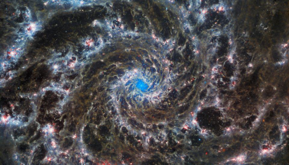 A multi-wavelength view of the Phantom galaxy