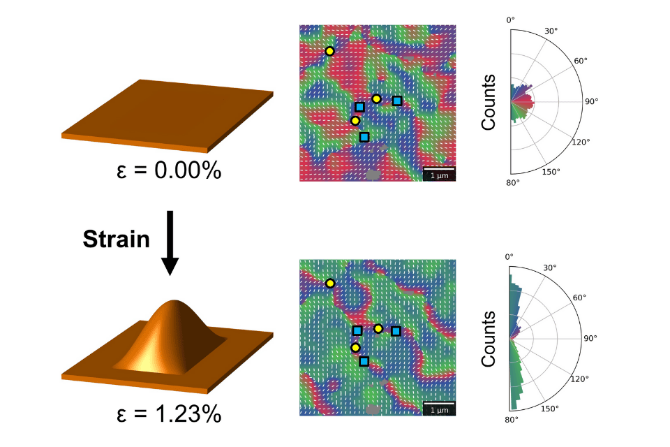 An illustration of strain from the journal article