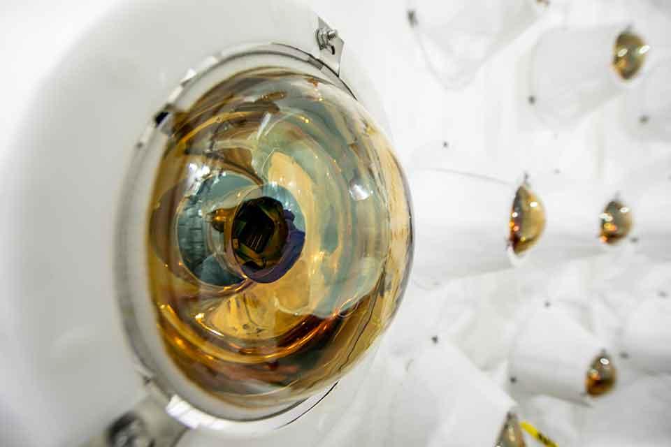 LZ’s outer photomultiplier tubes collect light from background particle interactions
