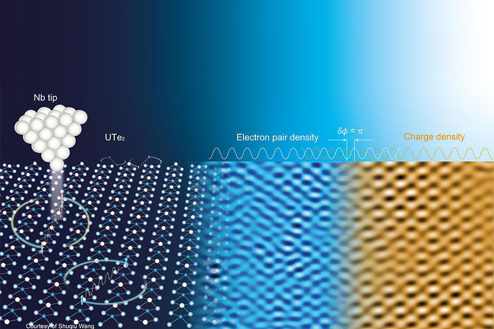 First visualisation of a topological pair density wave