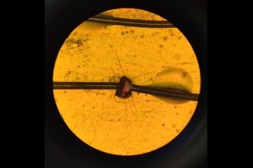 A crystal of the newly discovered piezoelectric material viewed under a microscope