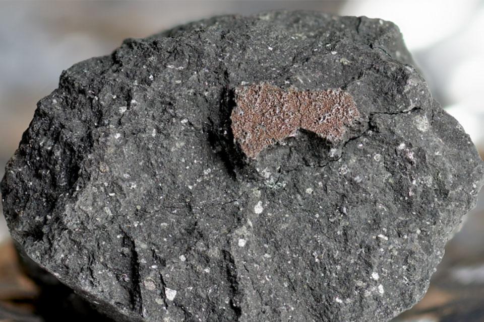 A fragment of the Winchcombe meteorite