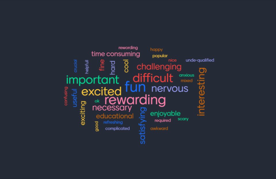 Word cloud of responses to question - how are you feeling about doing PER?