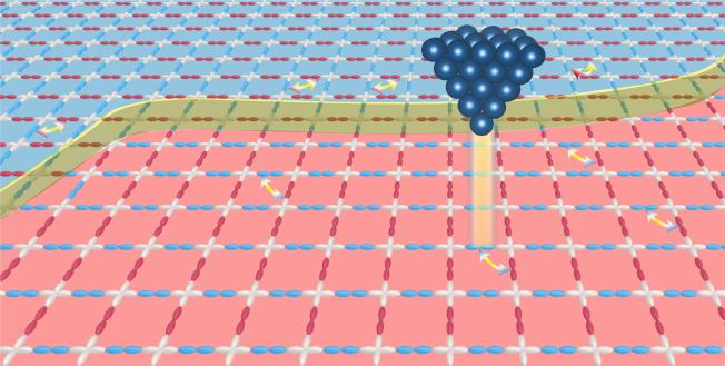 Orbital ordering in the high-temperature superconductor