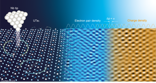 Visualizing a Topological Pair Density Wave