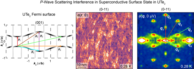 Odd-parity quasiparticle interference in the superconductive surface state of UTe2
