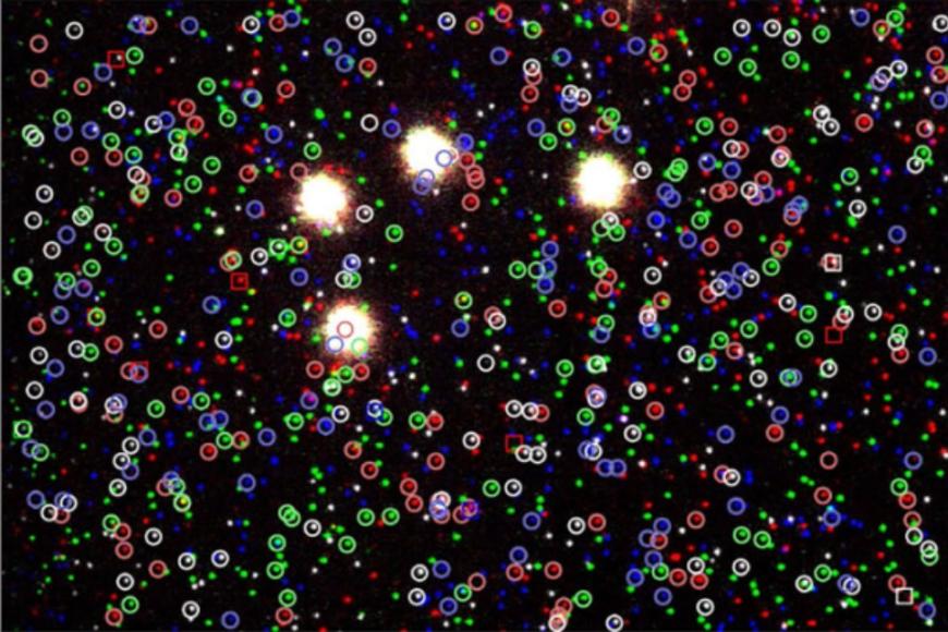 Black background with many different coloured circles and a few squares with four white spots in the centre. 