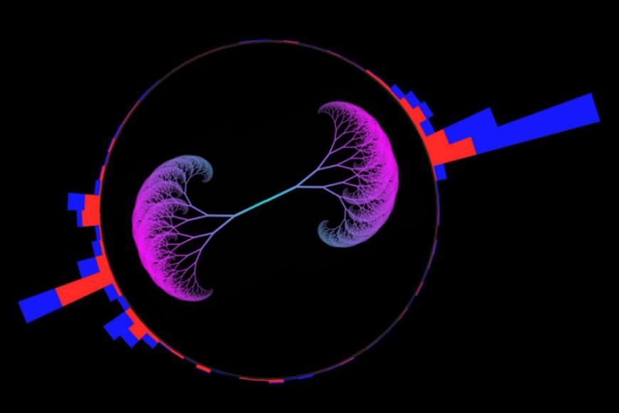 A reconstructed event in the Compact Muon Solenoid detector at the Large Hadron Collider