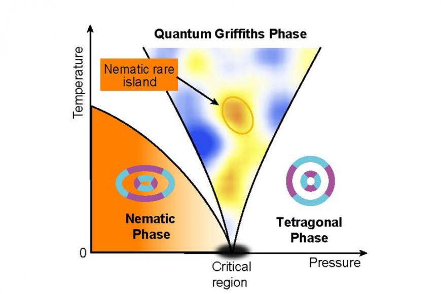 Griffiths phase