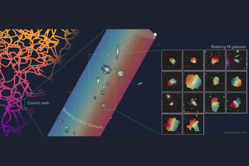 A figure illustrating the rotation of neutral hydrogen (right) in galaxies residing in an extended filament (middle), where the galaxies exhibit a coherent bulk rotational motion tracing the large-scale cosmic web (left).