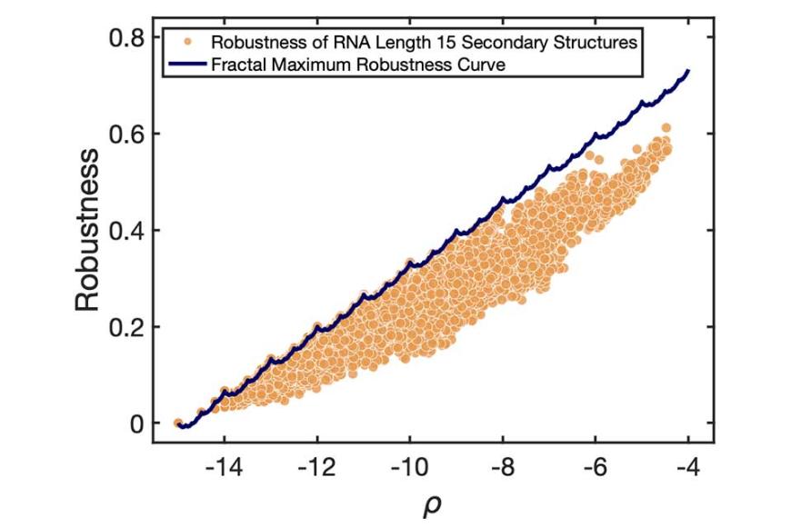 The orange dots denote the phenotype robustness of different RNA secondary structure phenotypes for length 15 RNA strands versus the fraction f of the total space of sequences that map to that phenotype.  The maximum robustness curve (a fractal line) is exactly achieved by some of the RNA secondary structure phenotypes.