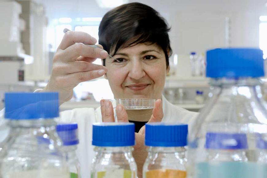 Professor Sonia Antoranz Contera