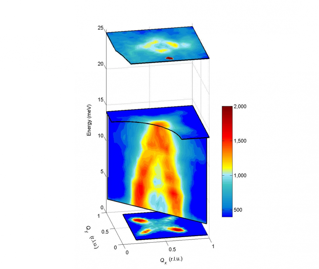 Hourglass magnetic spectrum of a layered cobaltate