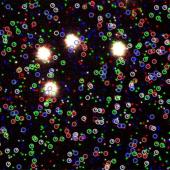 Black background with many different coloured circles and a few squares with four white spots in the centre. 