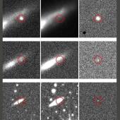 The same transient event shown in three surveys, with rows corresponding to Pan-STARRS (top), MeerLICHT (middle), and ATLAS (bottom).
