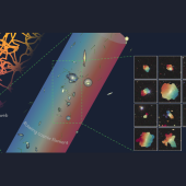 A figure illustrating the rotation of neutral hydrogen (right) in galaxies residing in an extended filament (middle), where the galaxies exhibit a coherent bulk rotational motion tracing the large-scale cosmic web (left).
