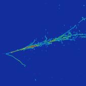 Event display of a candidate electron neutrino charged current interaction with a charged pion in the MicroBooNE detector