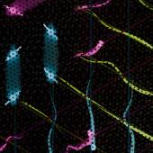 In some M-point moiré materials, electrons lock into crisscrossing patterns — a sign of one-dimensional behaviour. In certain cases, they can also freeze into orthonormal valence bond dimers, revealing a deeper layer of quantum order.