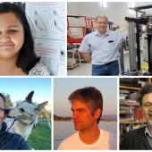 Clockwise from top left: Sneha Malde, Gavin Dalton, Paolo Radaelli, Aris Karastergiou and Matt Jarvis 