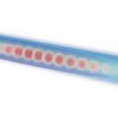 Simulation of the guiding of the high-energy laser pulse train (red) through a plasma channel (blue). The pulse train resonantly excites a large amplitude plasma wave that can be used to accelerate charged particles to GeV-scale energies