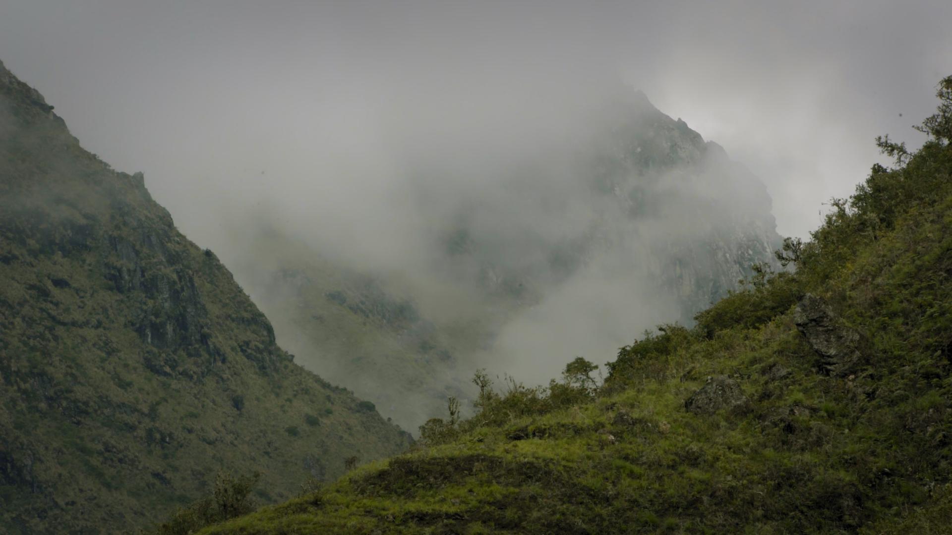 Cloud forest of the Bolivian Andes. Two forest-covered hillsides slope to the center of the image, with one hill farther out, shrouded by clouds that seem to be rising from the trees in the foreground.