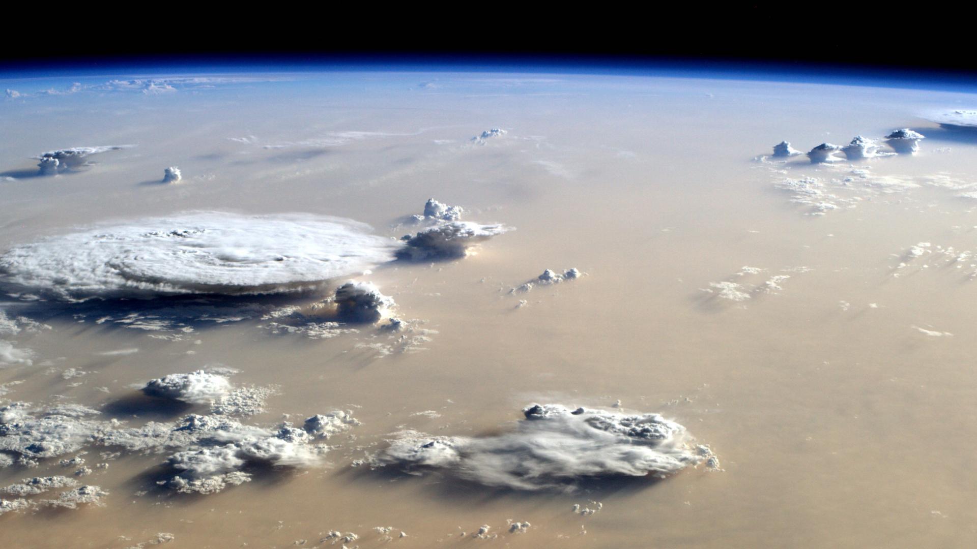 Mesoscale convective systems embedded in Saharan dust