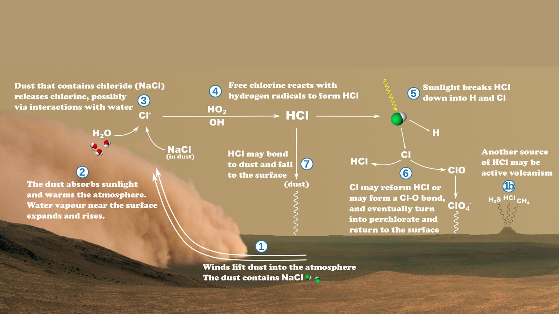 Possible chlorine cycle in the atmosphere of Mars