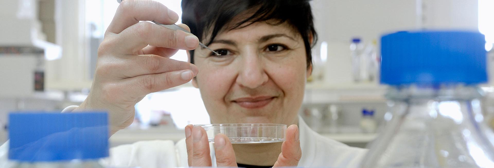 Scientist holding pipette and petri dish in laboratory