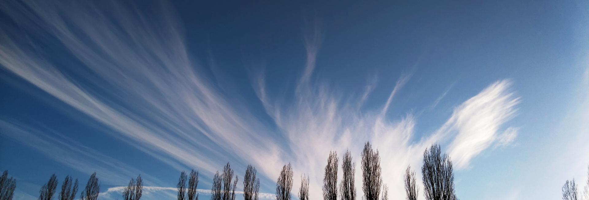 Cirrus fibratus clouds