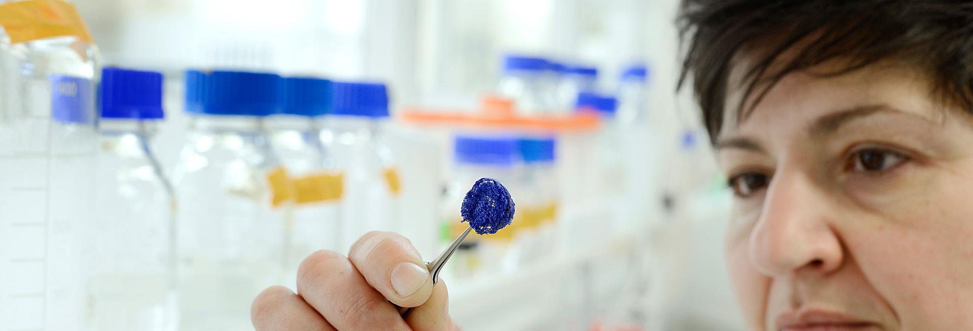 Female scientist with petri dish