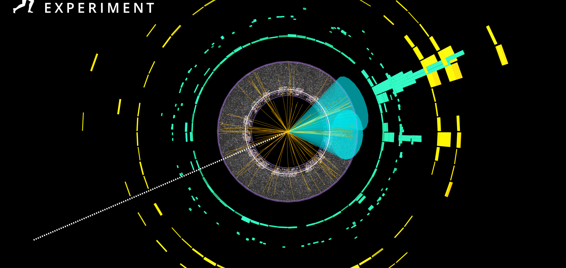 The Higgs boson decaying into a pair of b-quarks