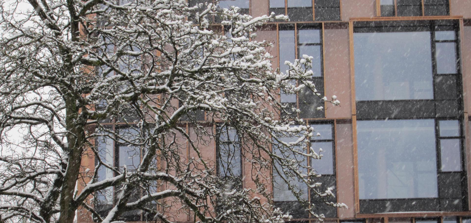 Snow falling on the Beecroft Building, Department of Physics