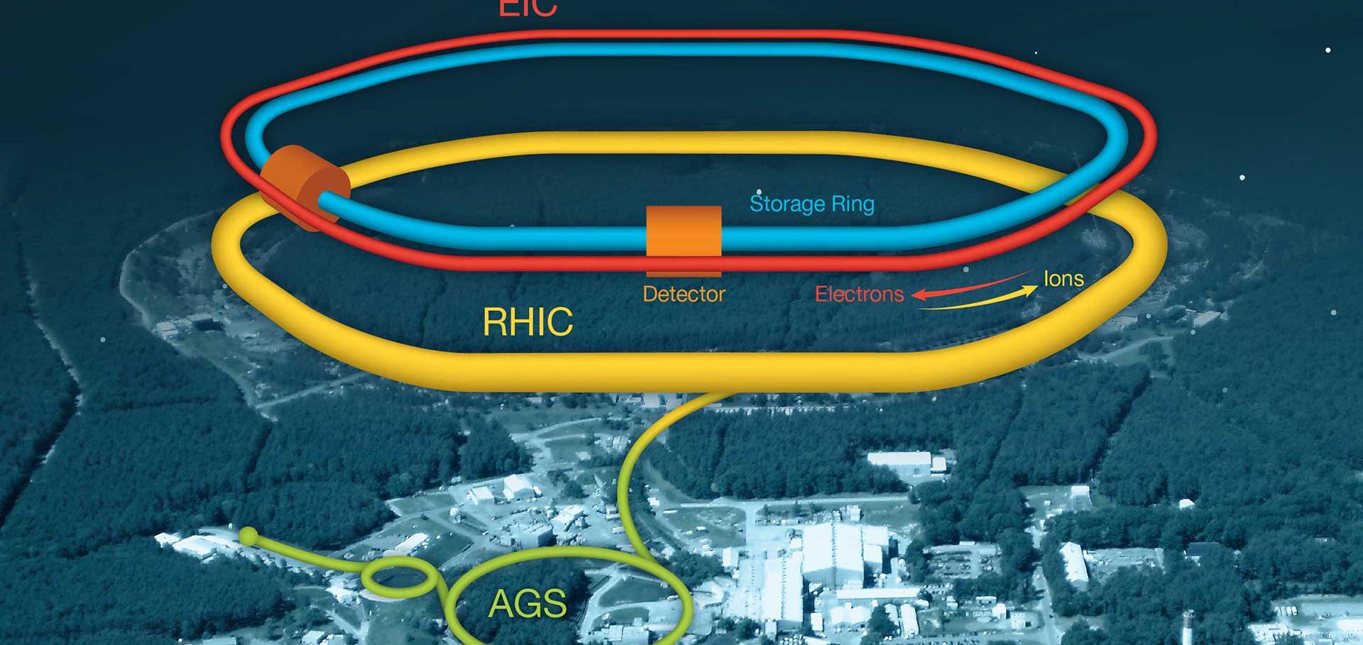 Schematic of the new Electron-Ion Collider (EIC) components (including an electron accelerator, red, and electron storage ring, blue) will fit inside the tunnel that currently houses the Relativistic Heavy Ion Collider (RHIC, yellow).